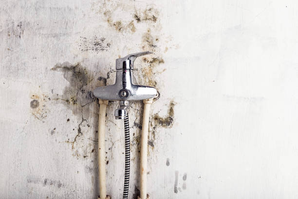 Best Water Damage Restoration  in South Connellsville, PA